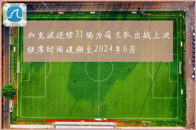 加克波连续31场为荷兰队出战上次缺席时间追溯至2024年6月